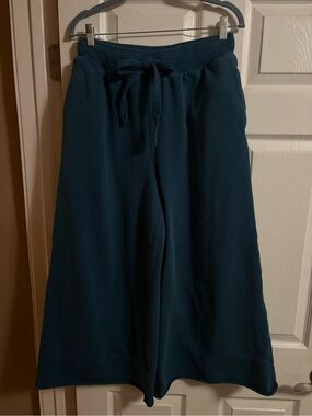 Anthropologie flared wide leg sweatpants comfy 100% cotton loungewear blue S